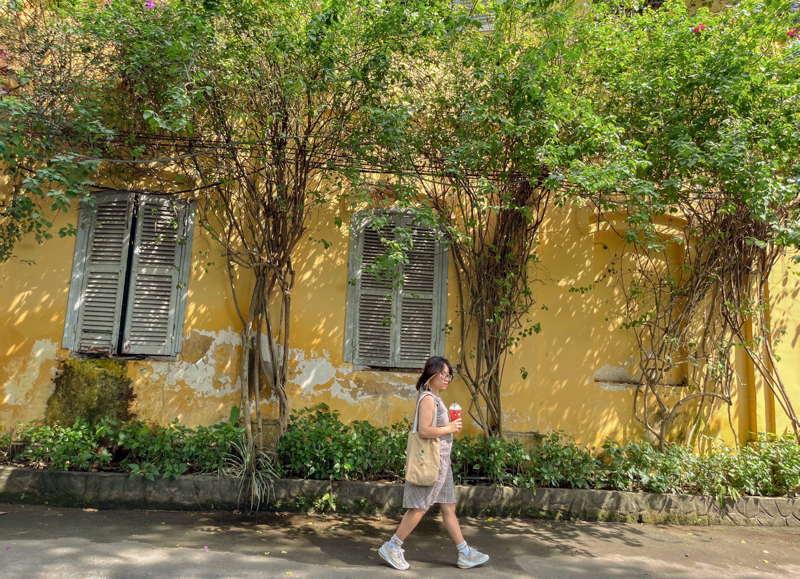 Thảo cầm viên 12.2021